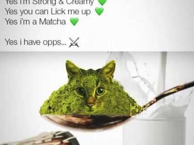 Matcha cat meme... this cat is matcha... yes he has opps...