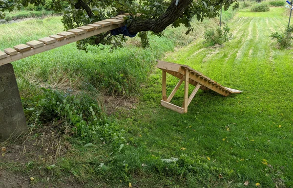 Mountain bike skinny drop built on a tree branch