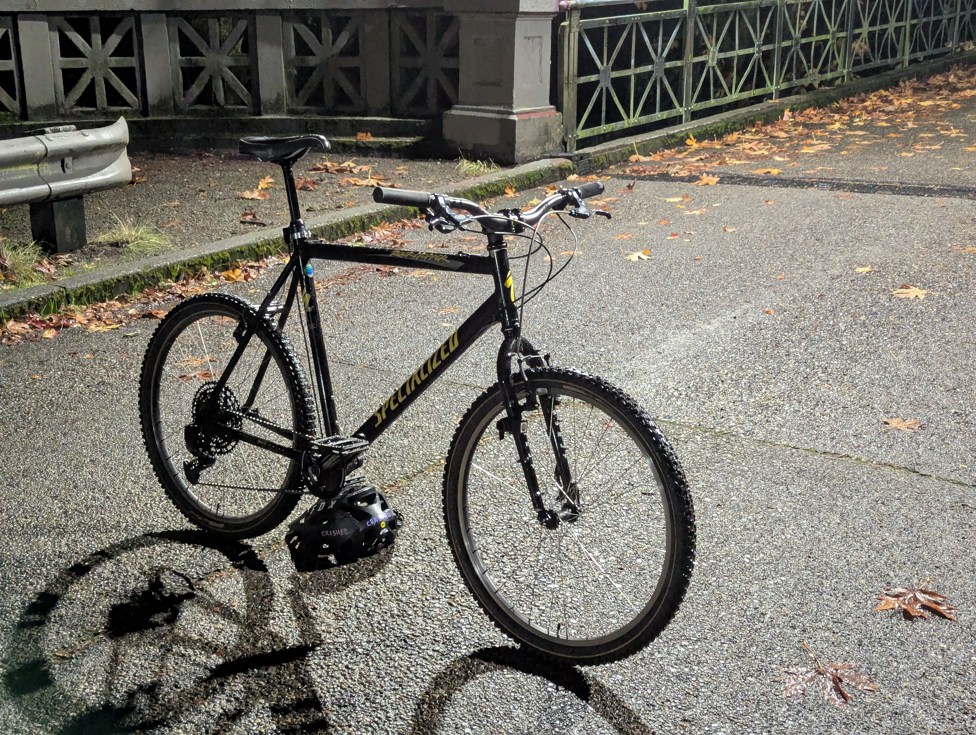 D0M3571QU3 73RR0R1S7 at night in Ravenna Park