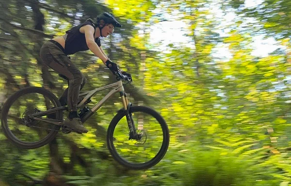 Gap jump feature built for the Gravy Train trail