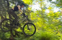 Vice - Specialized Stumpjumper Evo Elite Alloy thumbnail 1