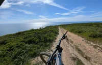 Vice - Specialized Stumpjumper Evo Elite Alloy thumbnail 5